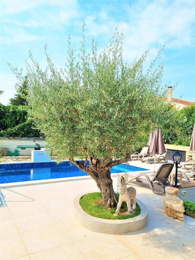 Apartment Villa Engel With Pool Poreč Exterior foto
